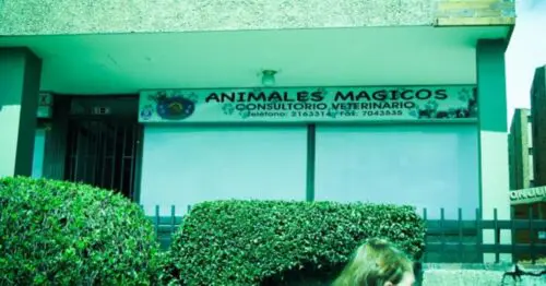 ANIMALES MAGICOS BOGOTÁ ANIMALES MAGICOS BOGOTÁ